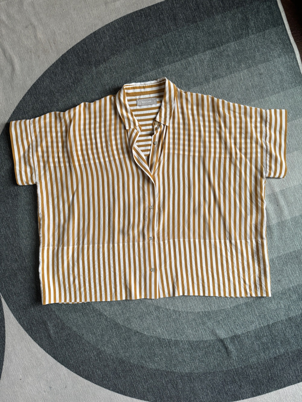 Everlane 100% Boxy Silk Shirt